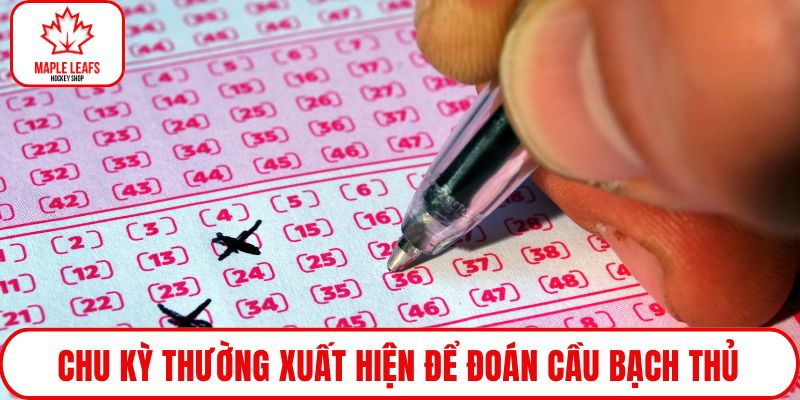 Chu kỳ thường xuất hiện để đoán cầu bạch thủ