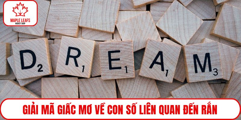 Giải mã giấc mơ về con số liên quan đến rắn