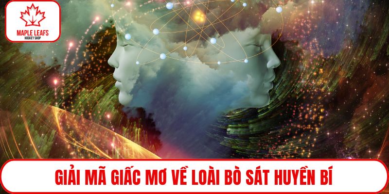 Giải mã giấc mơ về loài bò sát huyền bí