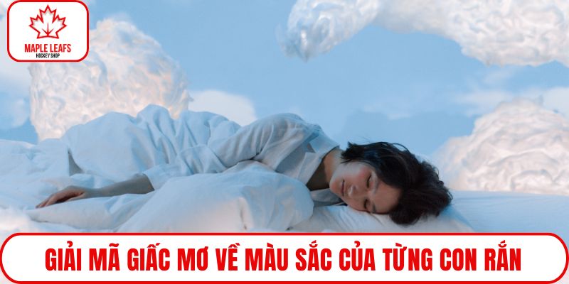 Giải mã giấc mơ về màu sắc của từng con rắn