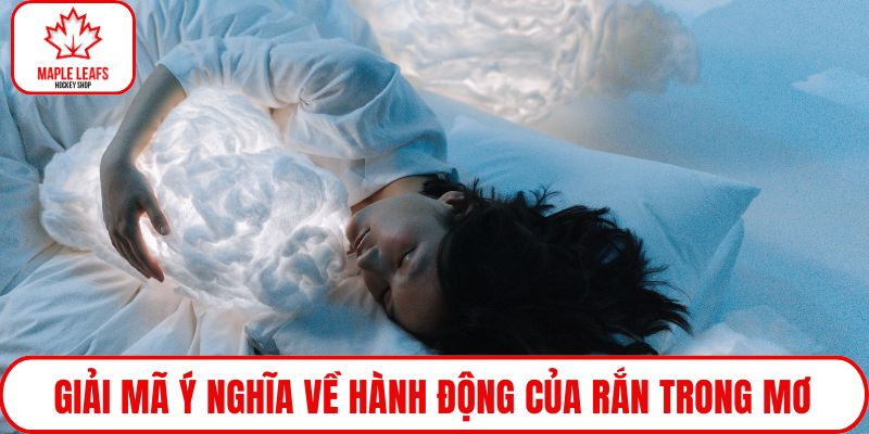 Giải mã ý nghĩa về hành động của rắn trong mơ