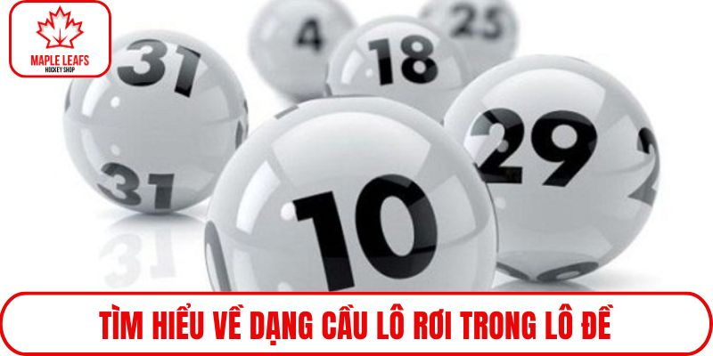 Tìm hiểu về dạng cầu lô rơi trong lô đề
