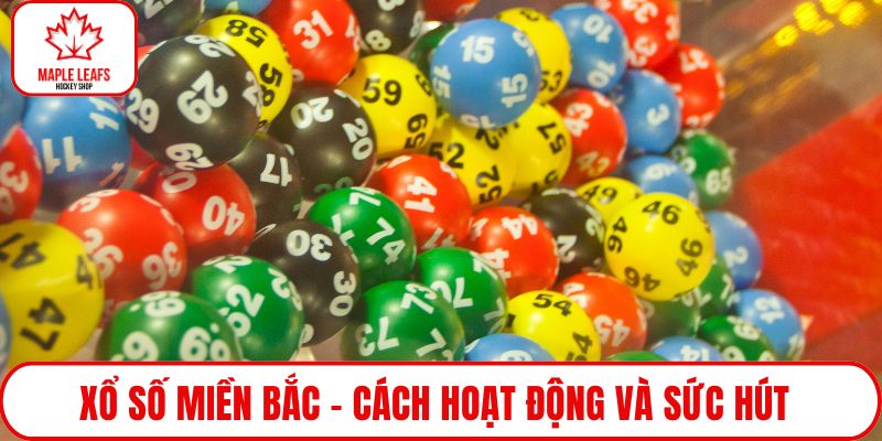 Xổ số miền Bắc
